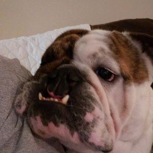 Meet your Posher, Billie jo